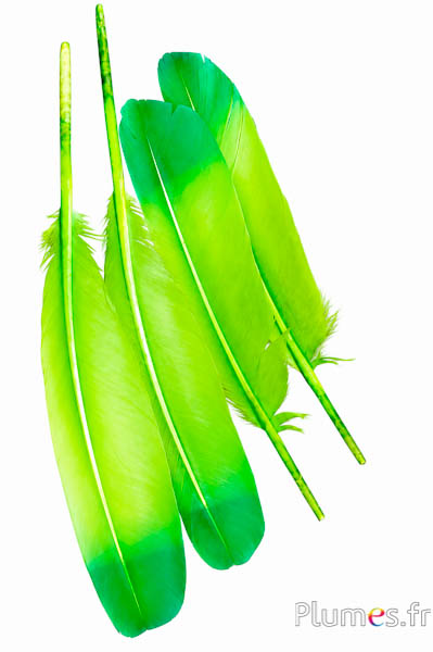 Cigno - 30-33 cm - lime-verde